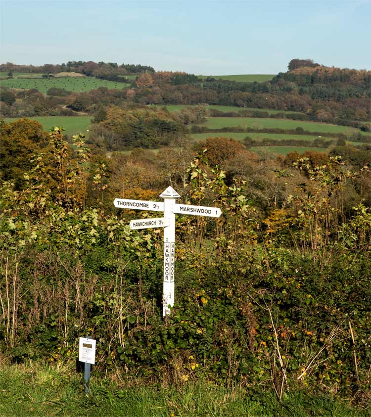 Another view from Hawkmoor