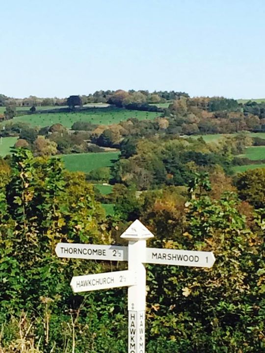 View from Hawkmoor Cross