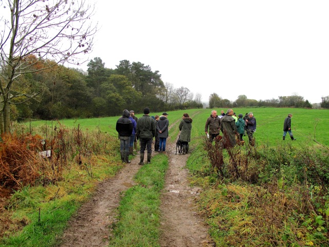 The community walk on 8 November