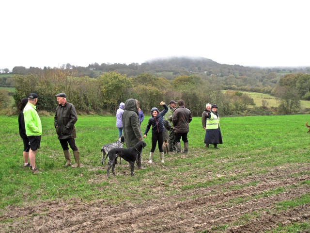 The community walk on 8 November